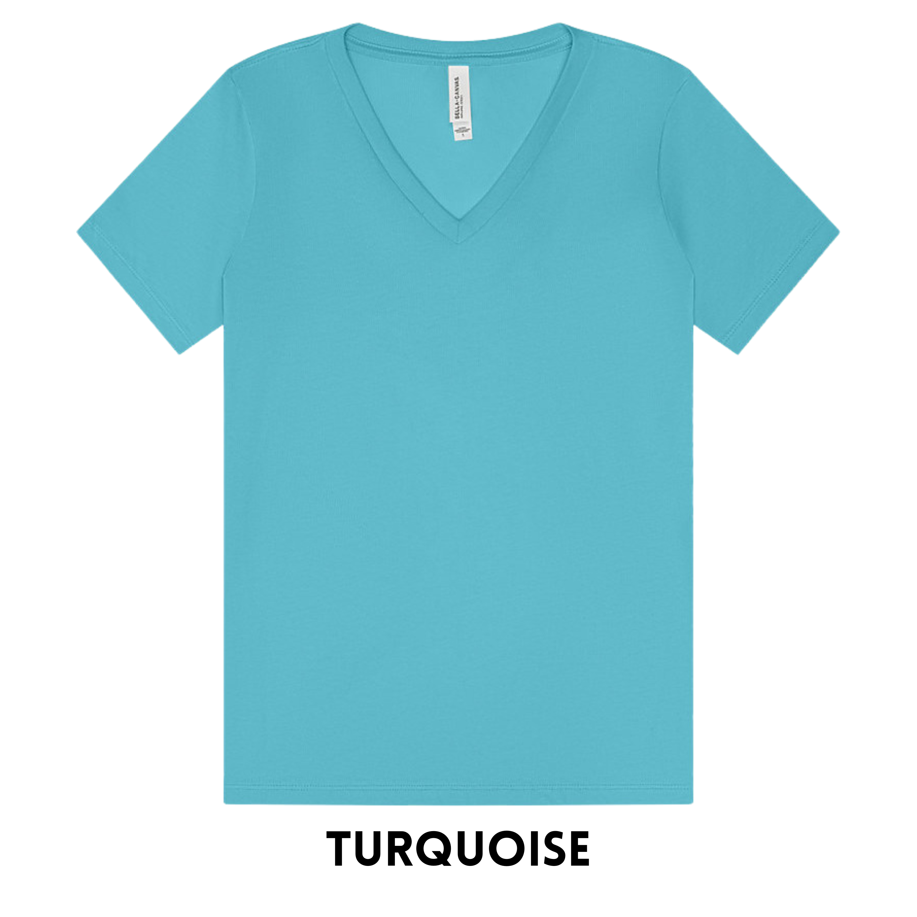 BELLA + CANVAS 6405 WOMEN'S V-NECK TEE'S